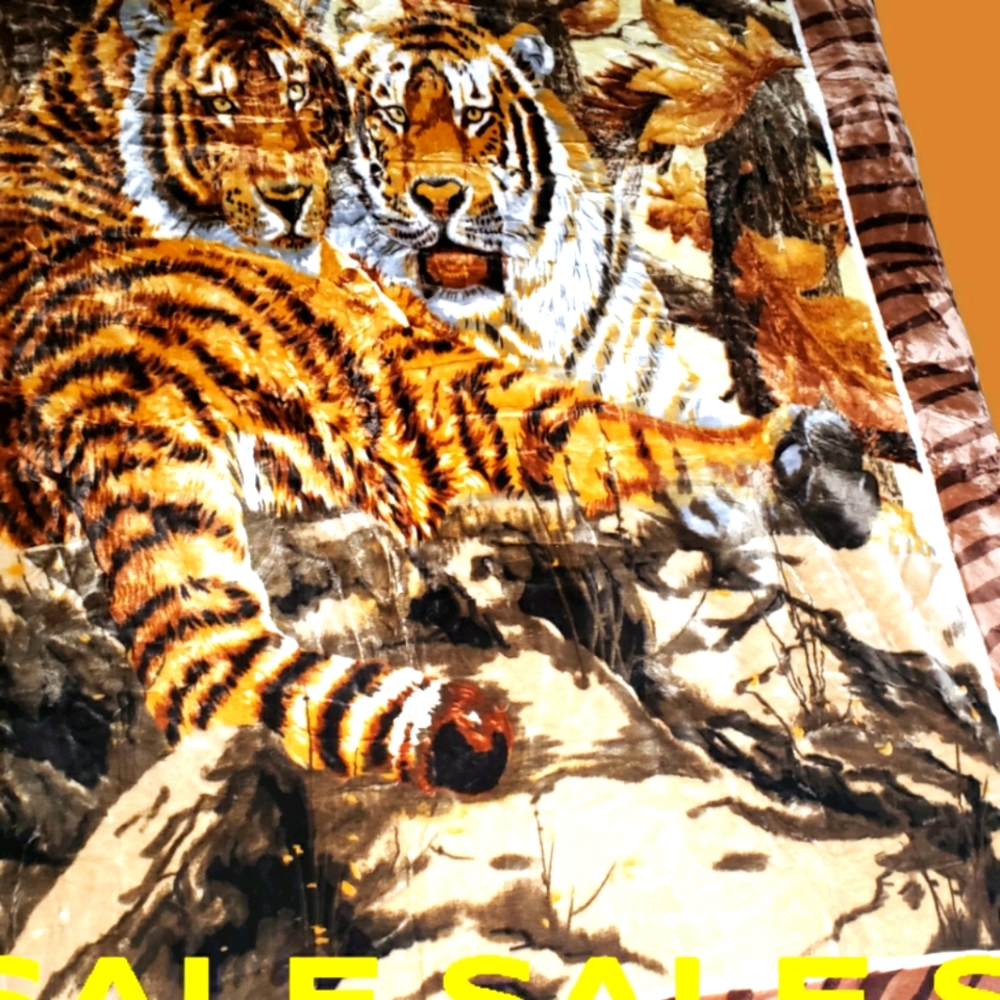 BLANKET